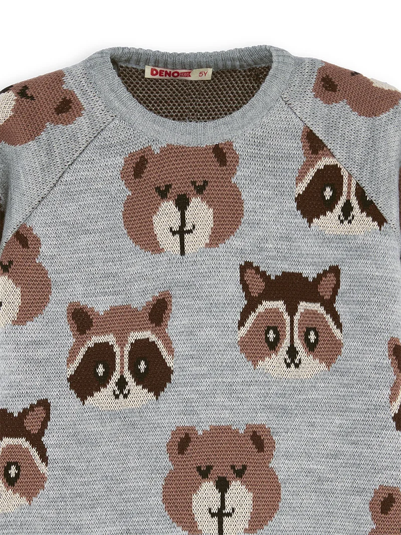 Denokids Bear&Raccoon Boy Knit Jumper